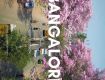 Enjoy with your kids at Wildlife Tour packages in Banglore