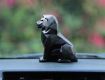 Car dashboard idols have become one of the most popular accessories for vehicles,