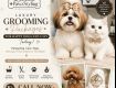 Best Pet Grooming in Bangalore