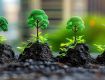 Expert Climate Action & Net Zero Services
