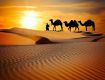 Planning the trip, booking travel tickets then this is the right space for booking the cheapest rates