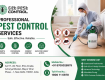 Get Pest Control India | Book Trusted Pest Control Services Near You