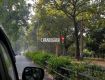 Enjoy with your kids at Wildlife Tour packages in Chandigarh