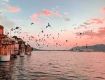 Planning the trip, booking travel tickets then this is the right space for booking the cheapest rates Udaipur