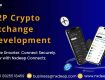 Nxdeep Connectz | Leading P2P Crypto Exchange Development Provider