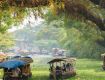 Best Tourism Services with Kerala to provide secure value for your money