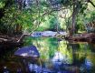 Best Tourism Services with wayanad Kerala to provide secure value for your money