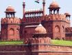 Enjoy with your kids at Wildlife Tour packages  in delhi