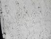 Premium GPO Chemical Embroidered Lace Fabric