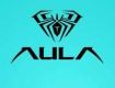 AULA INDIA