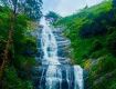 Best Tourism Services with Kodaikanal to provide secure value for your money
