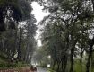 Step into the Clouds: Unveil the Magic of Shillong.