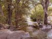 Tourism industry brings to you the best-in-class Holiday Packages For Polo Forest