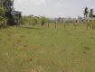 1211 Sq Ft Residential Plot In Priya Senthil Nagar, Urapakkam West, Chennai