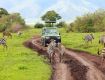 Enjoy with Your Kids at Wildlife Tour Packages
