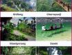Meghalaya Tour Package for Families, Couples and Group Travelers