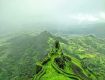 Best offers on Holiday Tour Packages