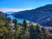Enjoy with your kids at Wildlife Tour packages nainital