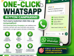 Bulk Whats app sms provider