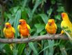 Accommodation to the best deals on air tickets on best offers