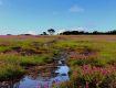 Our holiday travel packages encompass everything the traveler needs For  Kaas Plateau.