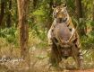 You are ahead to fulfill your energy with our Adventure Tour packages.
