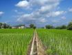 Exploring the Heart of Haryana