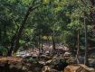 Enjoy with your kids at Wildlife Tour packages