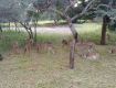 Enjoy with your kids at Wildlife Tour packages