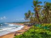 Our holiday travel packages encompass everything in Goa