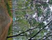 Monsoon Magic: Unwind in the Mist Manipat.