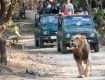 Enjoy with your kids at Wildlife Tour packages for Gir