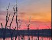 Accommodation to the best deals on Barnawapara Wildlife Sanctuary, Chhattisgarh.