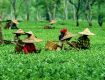 Best way to share with Culture &amp Heritage packages in Assam