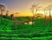Relax yourself by availing Yoga and Spa Tour packages