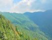 At Shimla Seasonal trips with best Monsoon Tour packages