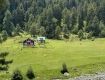 Best offers on Pahalgam Tour Packages
