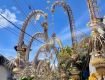 Great holiday packages complete with sightseeing tours For bali