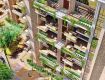 4 BHK 3400 Sq Ft Pent House In The Five Summit Address, Whitefield, Bangalore