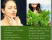 AYURVEDIC MEDICINE