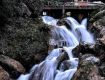Best Tourism Services with Mussoorie to provide secure value for your money