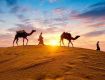 Best Tourism Services with Kerala to provide secure value for your money