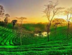 Our holiday travel packages encompass everything the traveler needs For Assam