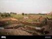 Enjoy with your kids at Wildlife Tour packages in kurukshetra