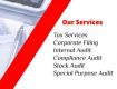 Business Tax Consultant
