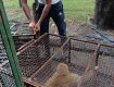 Monkey Cather SR - Monkey Catcher Service and Relocation