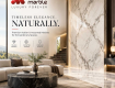 Premium Italian & Imported Marble Supplier in Delhi NCR
