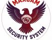 maxcam security system-CCTV Installation Service in Delhi