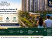Ready To Move 3 BHK In Chembur Deonar