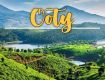 An opportunity to get best services for Hotels in ooty